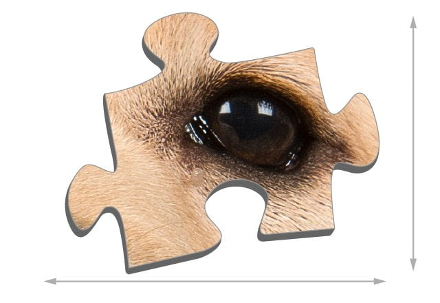 Pusselbitarnas storlek_SMART SORTED